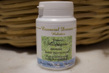 Artemisia annua - Sweet  60 Capsules