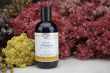 Shampoo per forfora grassa - Oily Dandruff - Shampoo 250ml